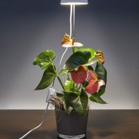 ProVida 5W LED лампа за отглеждане на растения/светлина за растения/телескоп 70 см, снимка 4 - Лед осветление - 39964049