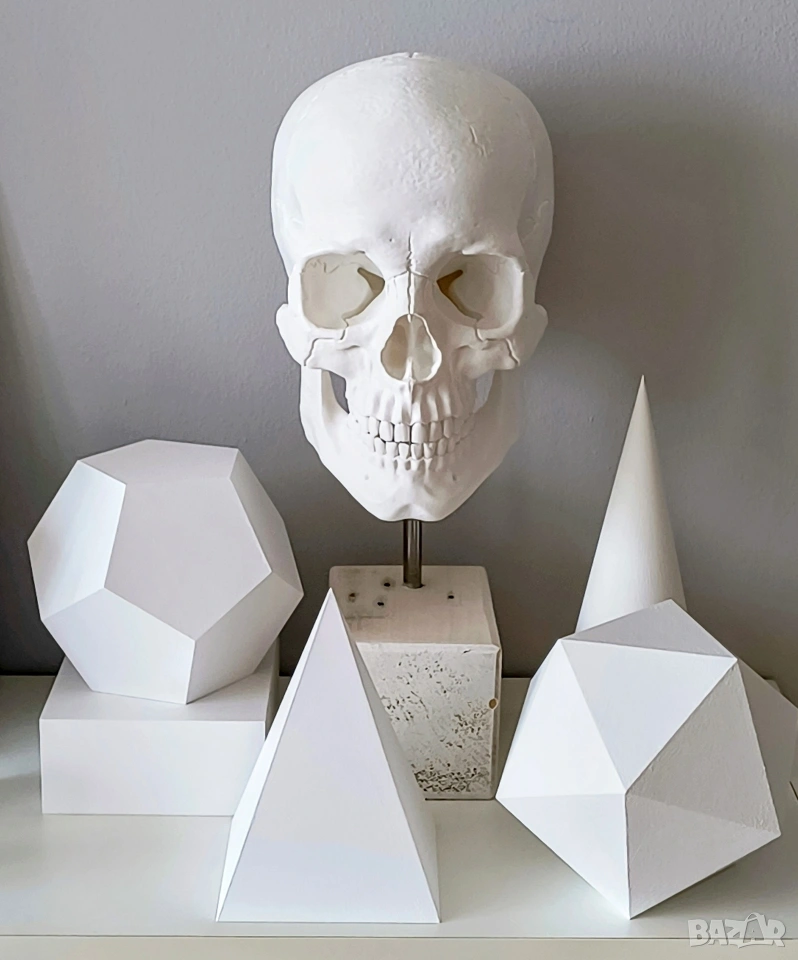 Геометрични Форми за Рисуване / Растителни / Анатомични Форми за Рисуване, снимка 1