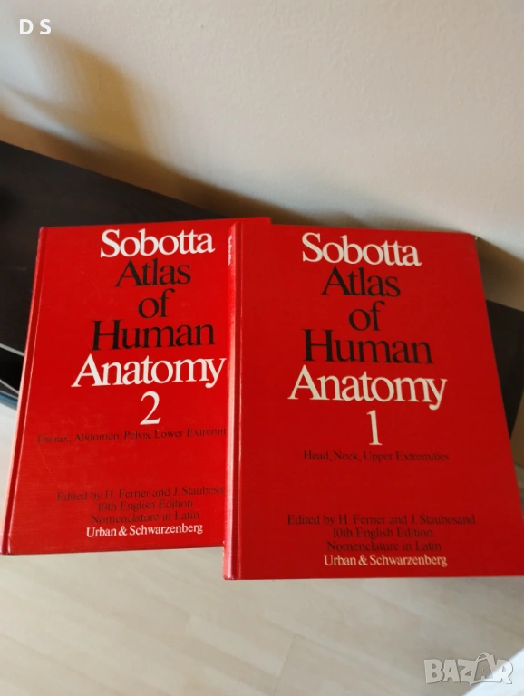 Атлас по анатомия, снимка 1