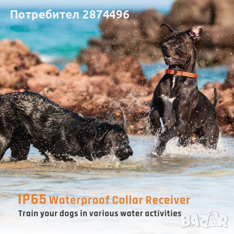 3160 Телетакт, електронен нашийник за обучение на кучета, снимка 15 - За кучета - 36398714