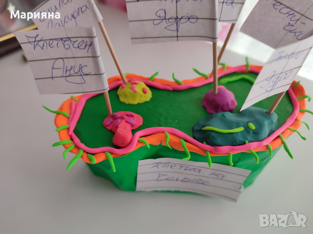 Проект за Левски, снимка 8 - Учебници, учебни тетрадки - 39614011