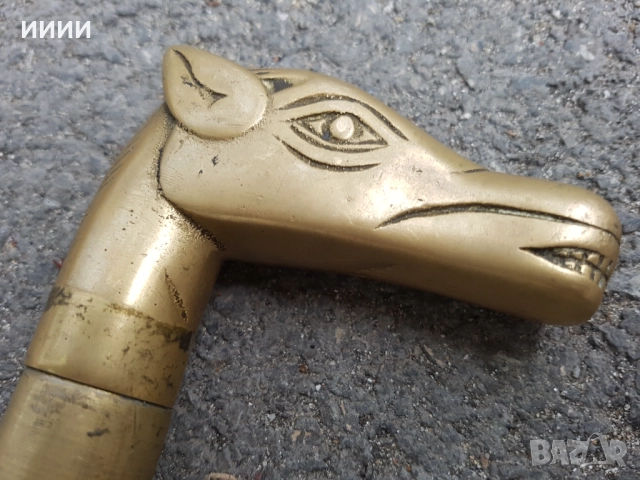 Екзотичен бастун кон, снимка 2 - Антикварни и старинни предмети - 52669945