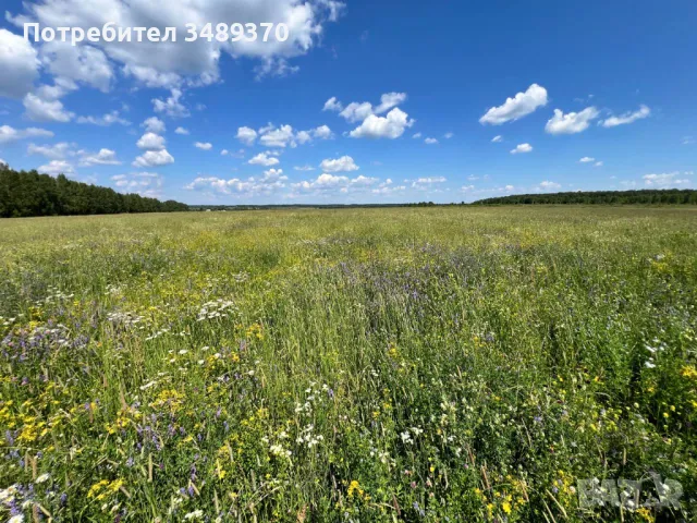 Търся съмишленици,съкооператори,акционери,инвеститори за създаване на промишлена ферма , снимка 15 - Продажба или споделяне на готов бизнес - 49588048