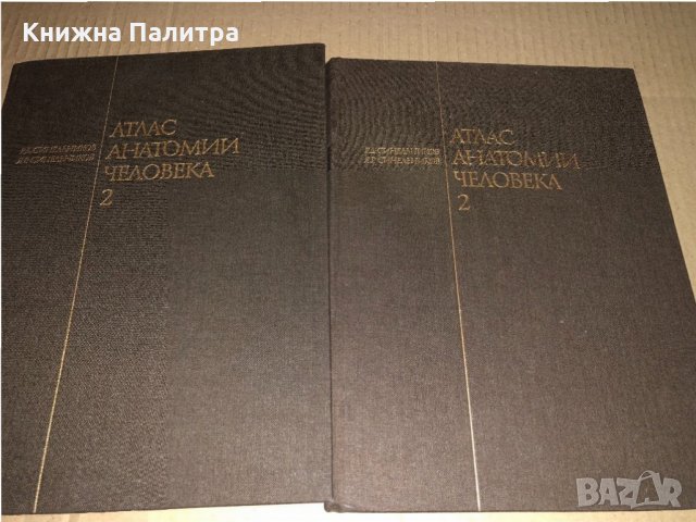 Атлас анатомии человека. Том 2 Р. Д. Синельников