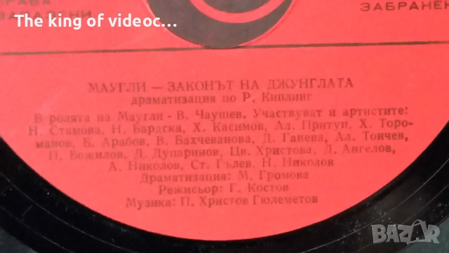 Грамофонна плоча "МАУГЛИ" , снимка 4 - Грамофонни плочи - 53399167
