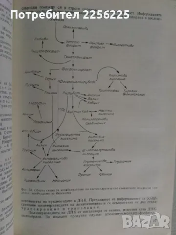 Микро-биология, снимка 4 - Специализирана литература - 47395101