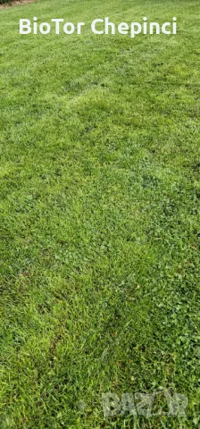 🌿Наторяване на трева с тор от Калифорнийски червей, снимка 10 - Тор и почвени смеси - 49967903