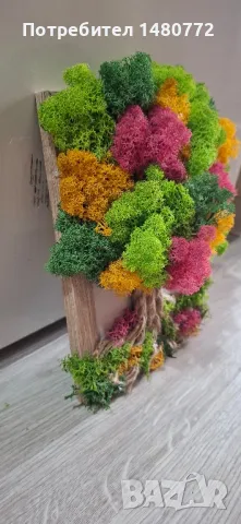 Дърво в рамка със скандинавски мъх, снимка 7 - Декорация за дома - 48071745