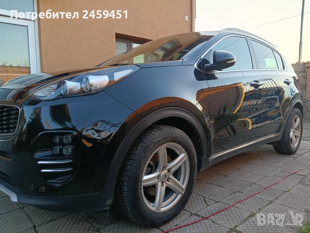 Професионално пастиране, снимка 10 - Пастиране - 45295856