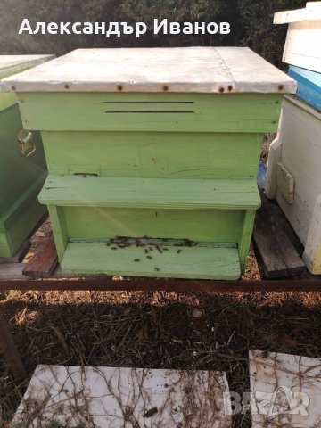 Пчелни семейства в кошери, снимка 4 - Други - 33287928