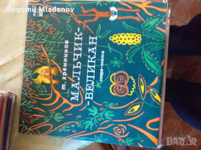 грамофонни плочи, снимка 13 - Грамофонни плочи - 28912764