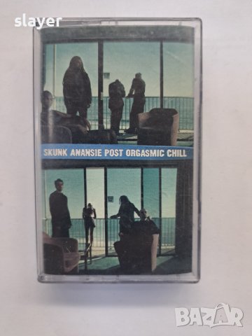 Оригинална касета Skunk Anansie, снимка 1 - Аудио касети - 43116556