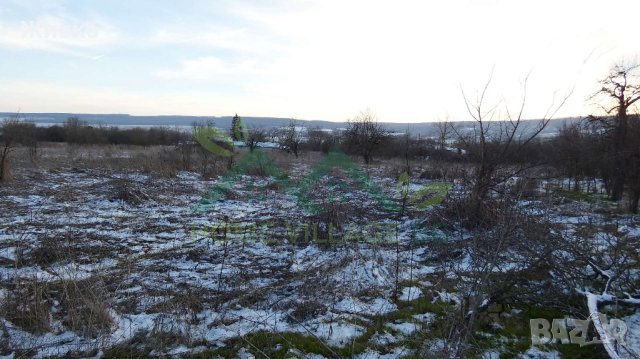 Голям имот в село Славейково, област Варна , снимка 4 - Парцели - 43750176