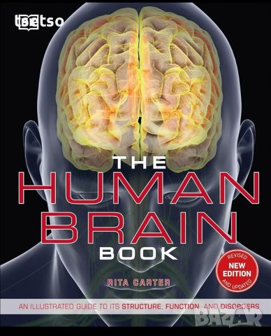 The Human Brain книга, снимка 1 - Енциклопедии, справочници - 43849937