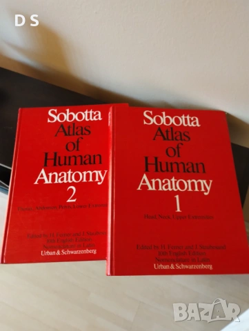 Атлас по анатомия