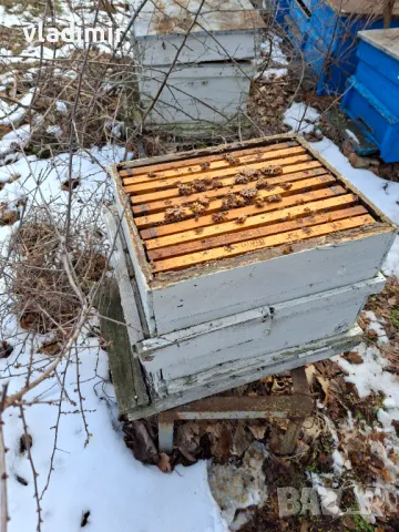 Кошери, снимка 4 - За пчели - 49276311