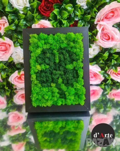 Картини със скандинавски мъх, снимка 2 - Картини - 35615877