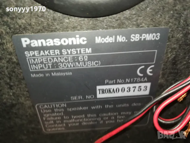 PANASONIC X2 SPEAKER SYSTEM-ВНОС SWISS 1103251826, снимка 5 - Тонколони - 49453162
