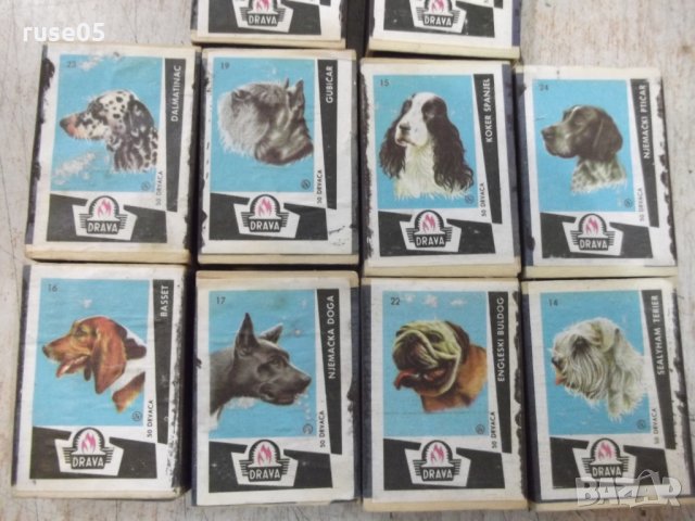 Лот от 10 бр. неизползвани кибрита с образи на кучета, снимка 4 - Други ценни предмети - 27962526