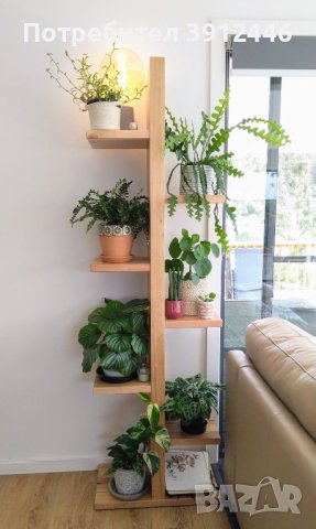 Цветарник Зиг-Заг