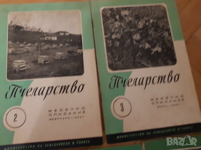 Списания Пчеларство 1958 г., снимка 2 - Антикварни и старинни предмети - 34984709