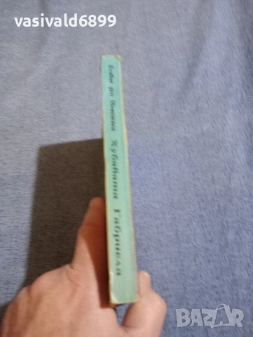 Ксавие дьо Монтепен - Хубавата Габриела , снимка 2 - Художествена литература - 52795613