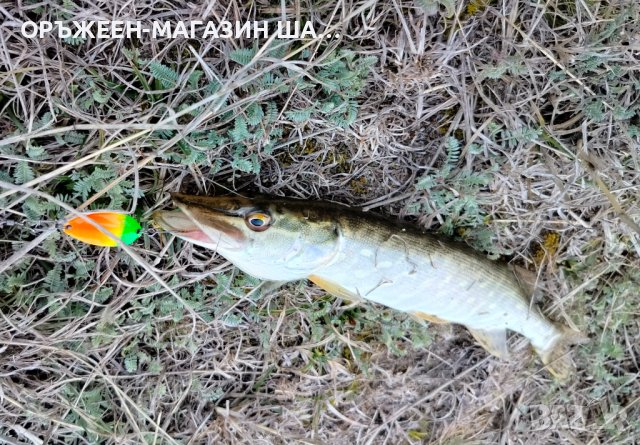 Блесна клатушка Golden Catch Hedik - 1.8 г и 2,6 г., снимка 5 - Такъми - 40229948