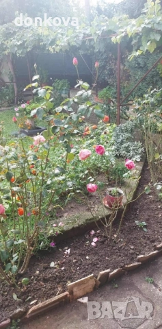 къща за продажба в с.Рударци област Перник , снимка 6 - Къщи - 52003772