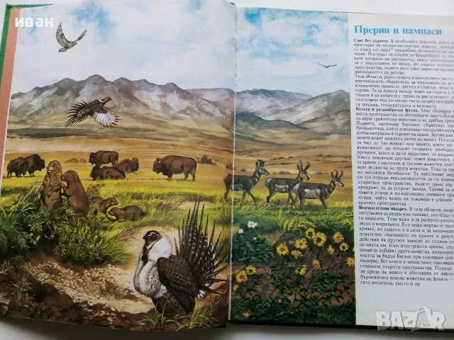 Тайните на животните - В Прериите / Край морските брегове - 1992г., снимка 3 - Енциклопедии, справочници - 49151756