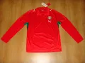 Футболна Тениска на България Пума Bulgaria Player Issue Puma Football Shirt 2008-2010, снимка 1