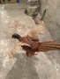 Продавам препариран фазан, снимка 5