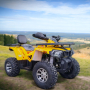 ATV 200cc MaxMotors Shark, снимка 3