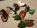 3D пеперуди за декорация с двойни крила СВЕТЕЩИ, снимка 14