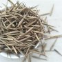 100 броя бамбукови семена от декоративен бамбук Moso Bamboo зелен МОСО БАМБО за декорация и украса b, снимка 1 - Сортови семена и луковици - 37711514