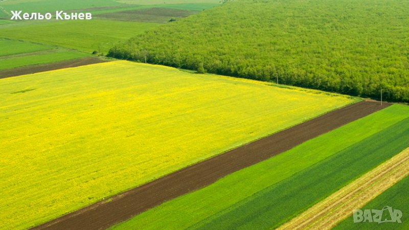 Купувам земеделска земя в землищата на общ. Сунгурларе и общ. Карнобат, снимка 1