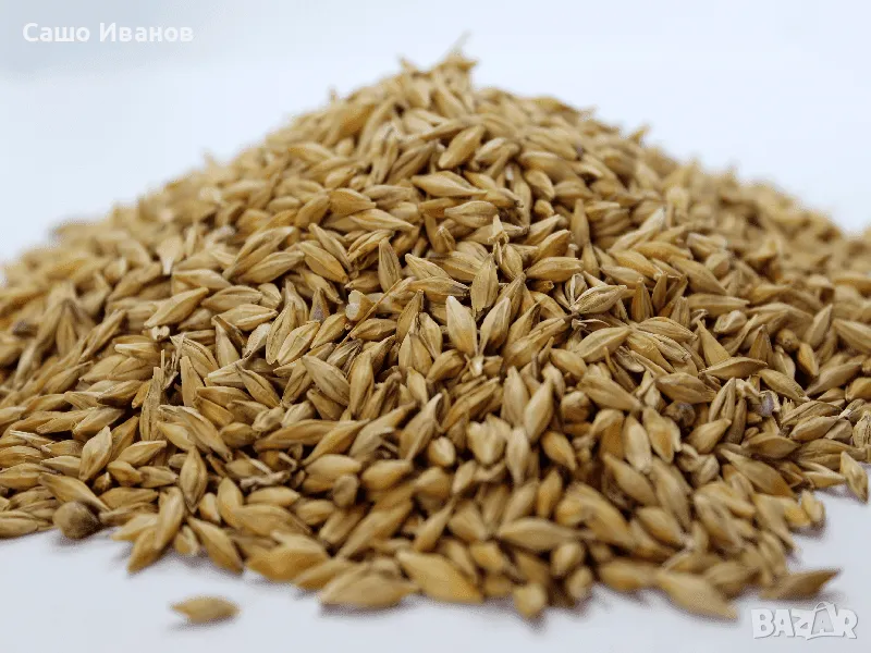 Продавам Пшеница , снимка 1