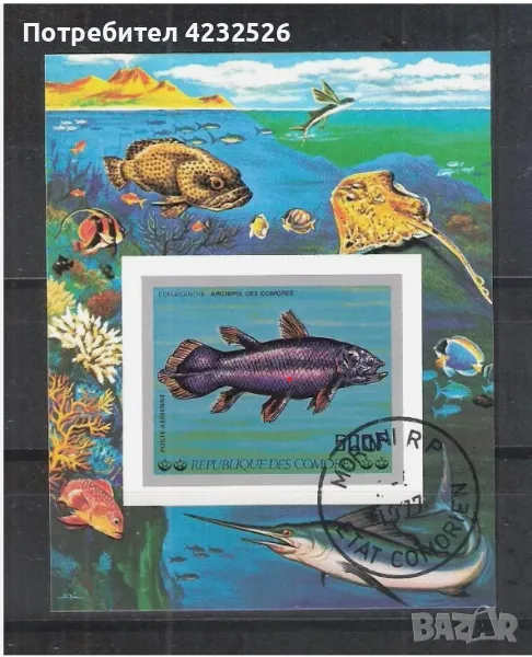 Коморски острови 1977 Риби-клеймован неперфориран блокк, снимка 1