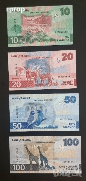 Замбия .10 , 20, 50 и 100 квача. 2024 год. Най новата серия. UNC., снимка 1