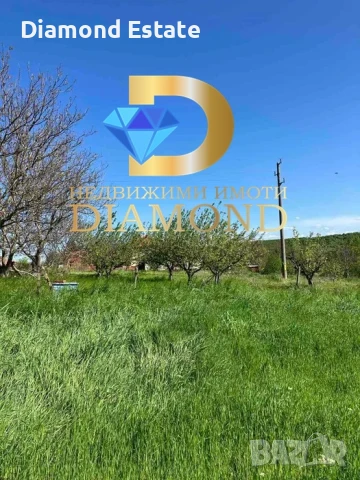 Парцел в село Стамболийски, обл. Хасково, снимка 11 - Парцели - 51218536