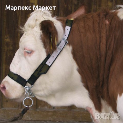 Юлар за крави със синджир