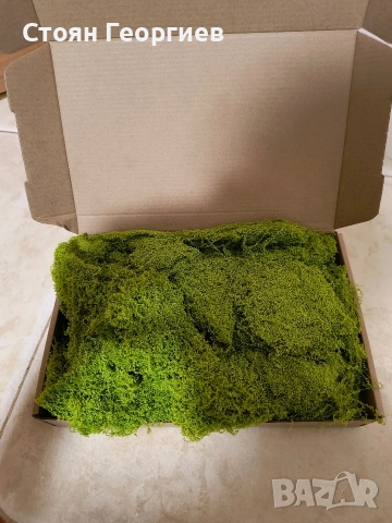 200грама изкуствен мъх