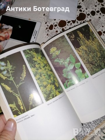 книги за здравето и билките в България, снимка 6 - Други - 43942666