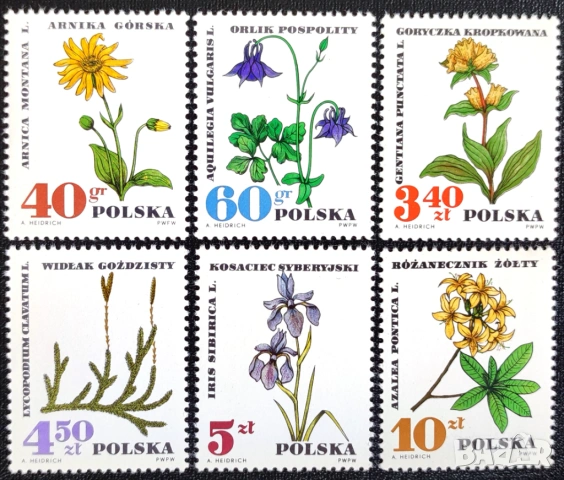 Полша, 1967 г. - лот марки на тема коне, спорт, риби, ВСВ, колоездене, олимпиада, билки, снимка 7 - Филателия - 53566936