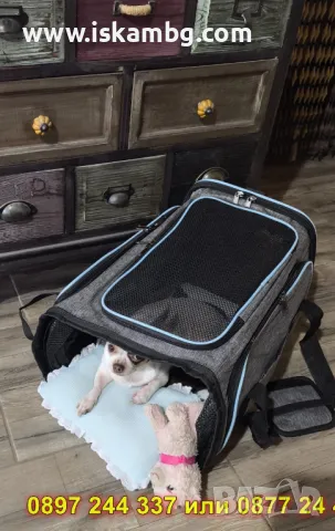 Разтегателна транспортна чанта за котка - КОД 4328, снимка 10 - За котки - 49877232