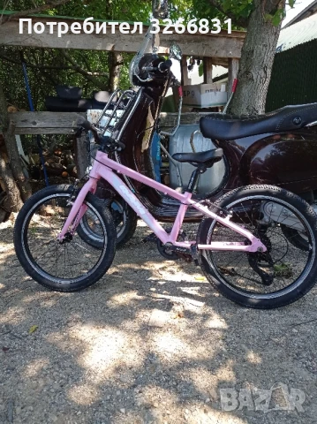 детски велосипед RAM Girl HT 20, снимка 2 - Велосипеди - 50535416