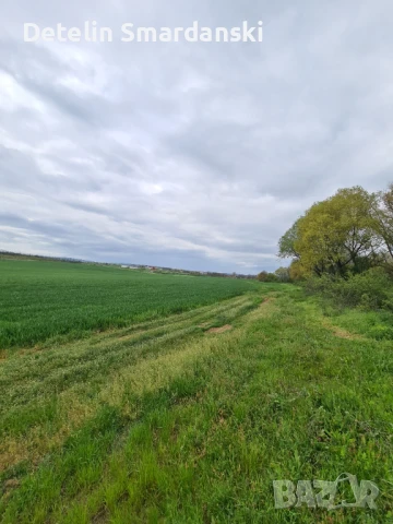 Поземлен земеделски имот , снимка 7 - Земеделска земя - 50649780