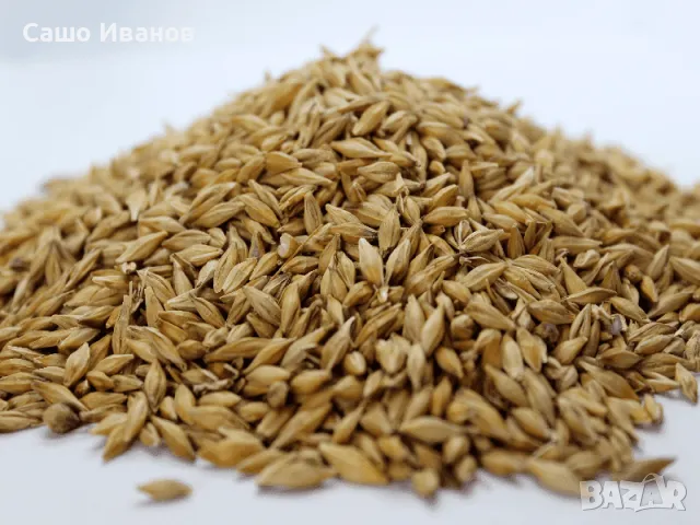 Продавам Пшеница , снимка 1