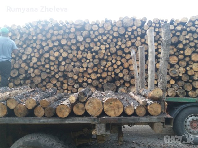 Суха дървесина от бял бор, снимка 3 - Пелети - 42971879