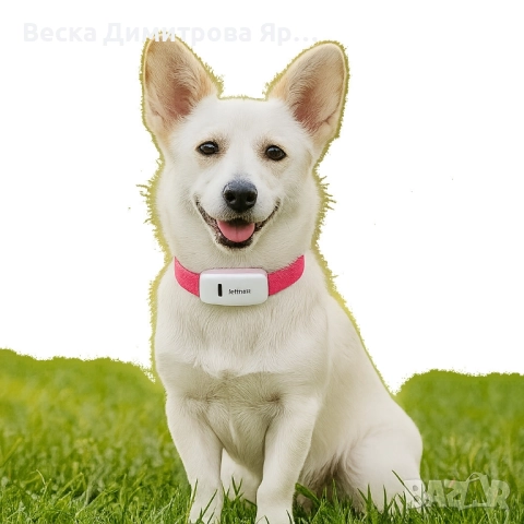 Тракер за домашен любимец - GPS локатор, снимка 2 - Други стоки за дома - 51705426