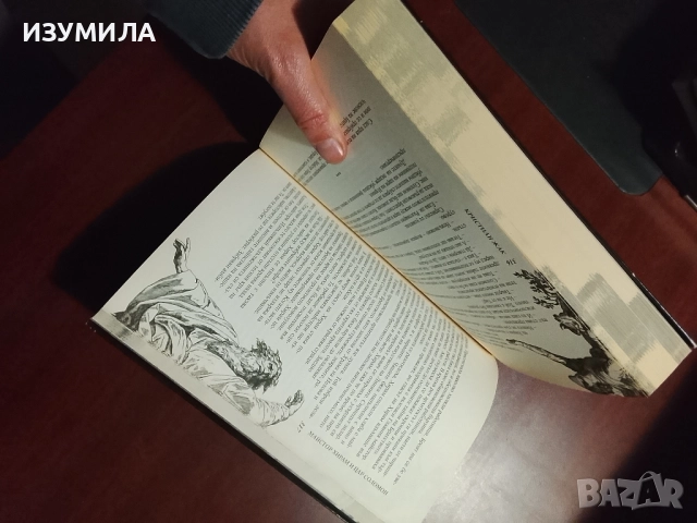 Майстор Хирам и цар Соломон - Кристиан Жак, снимка 4 - Художествена литература - 52309089